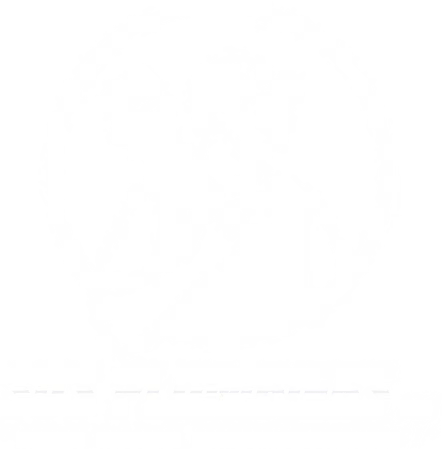 Digital Marketing Genève